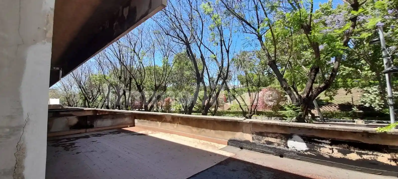 Albergo in Affitto - foto 3