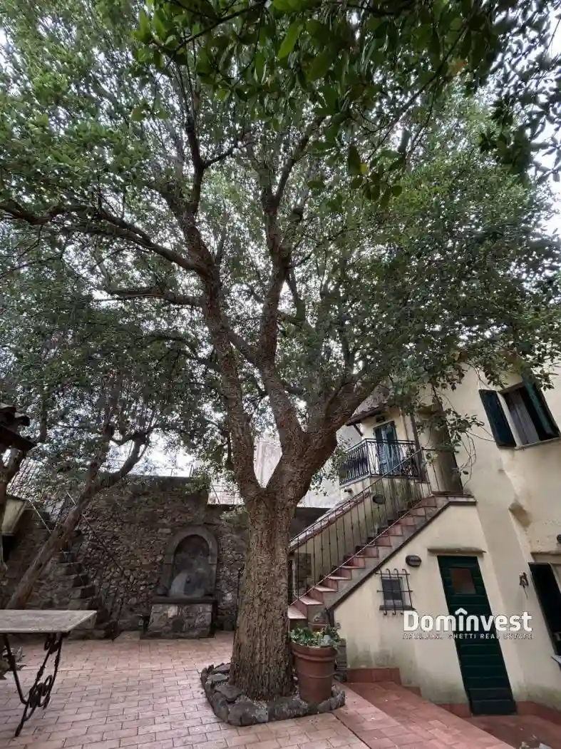 Palazzo - Edificio - foto 5