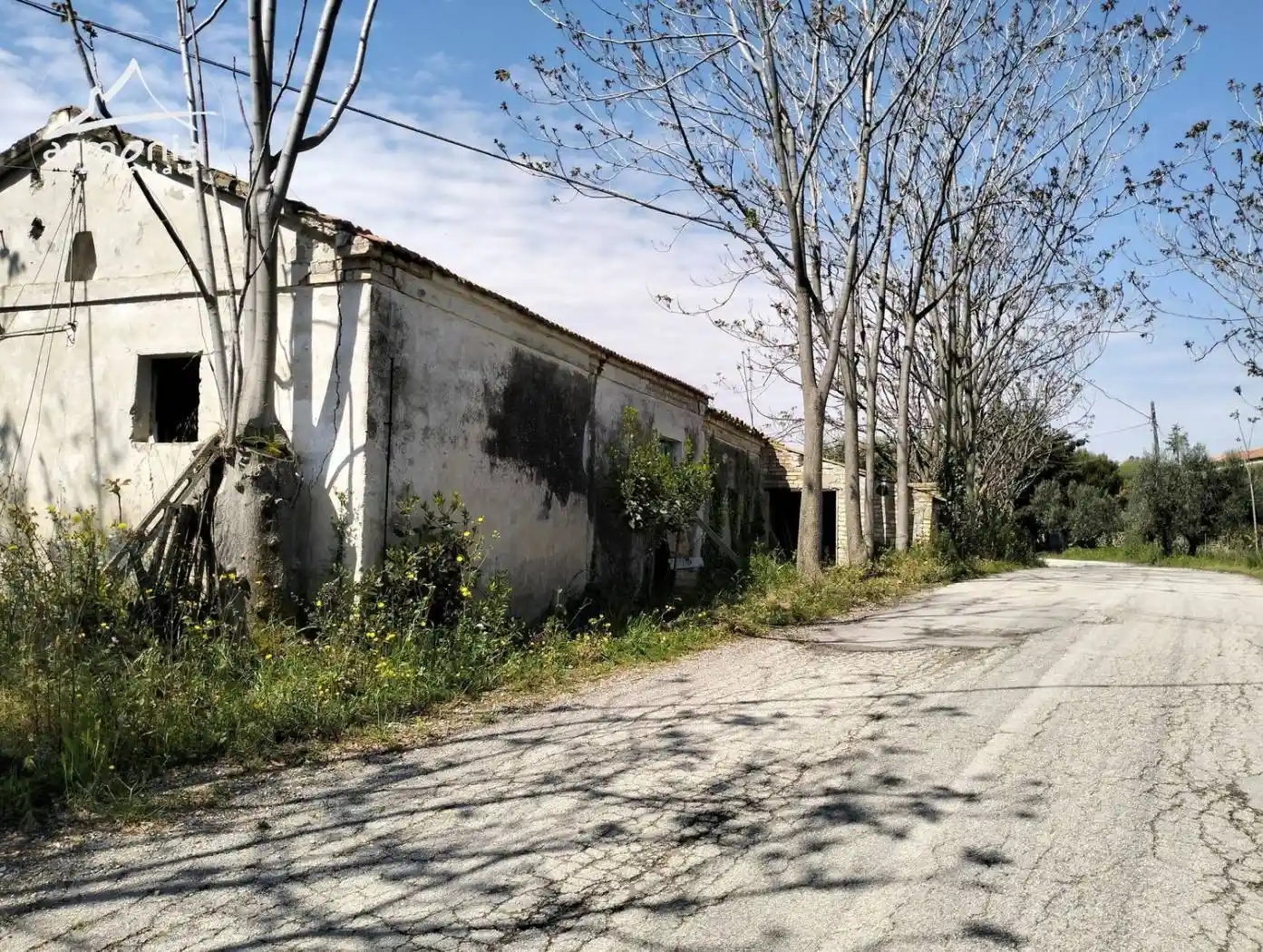 Cascina Colle Magnone San C., Roseto degli Abruzzi - foto 2