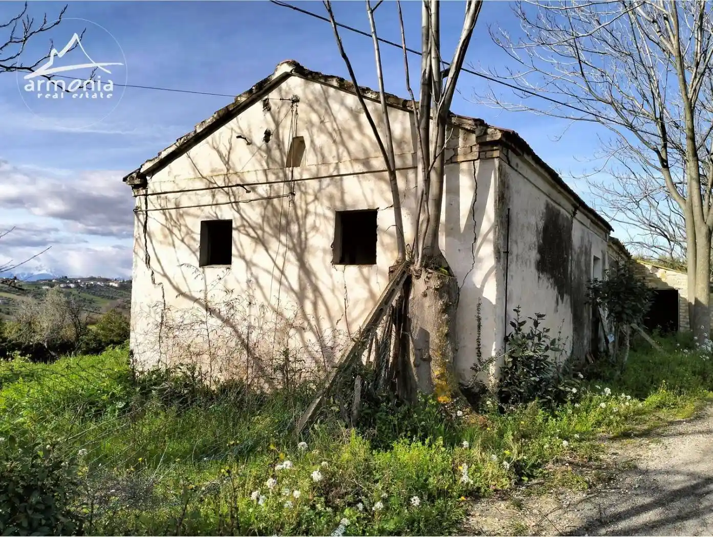 Cascina Colle Magnone San C., Roseto degli Abruzzi - foto 3