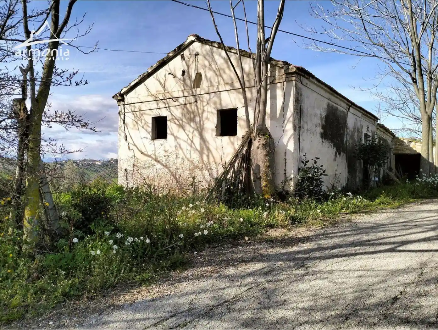 Cascina Colle Magnone San C., Roseto degli Abruzzi - foto 4