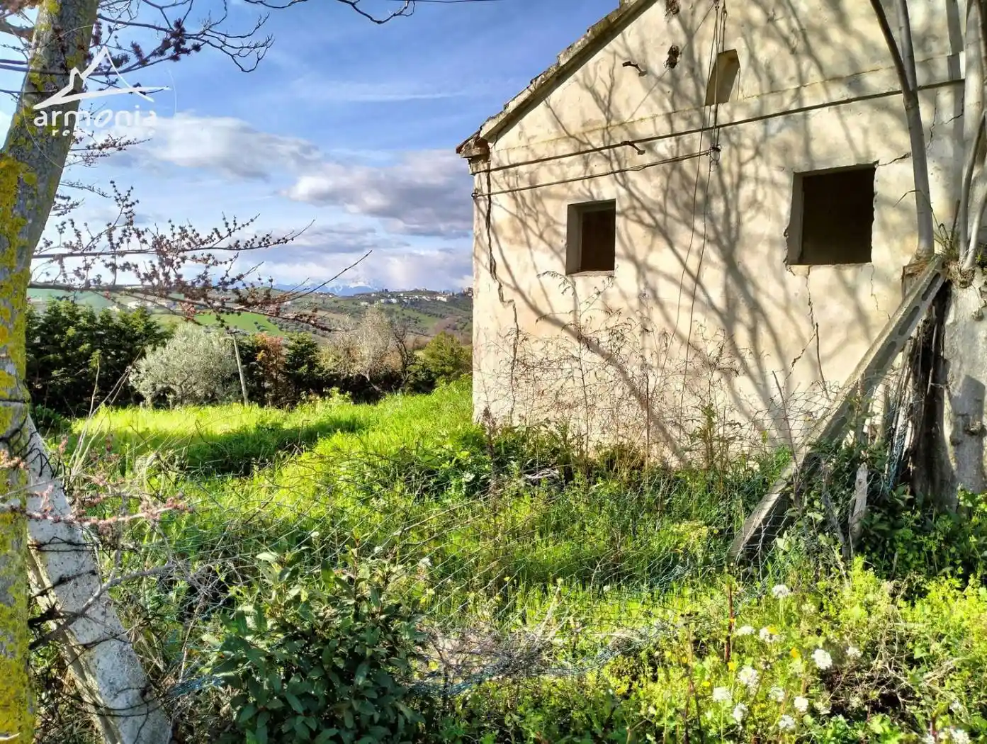 Cascina Colle Magnone San C., Roseto degli Abruzzi - foto 5