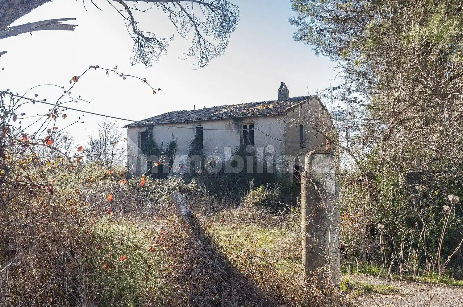Rustico - Casale in vendita a Suvereto