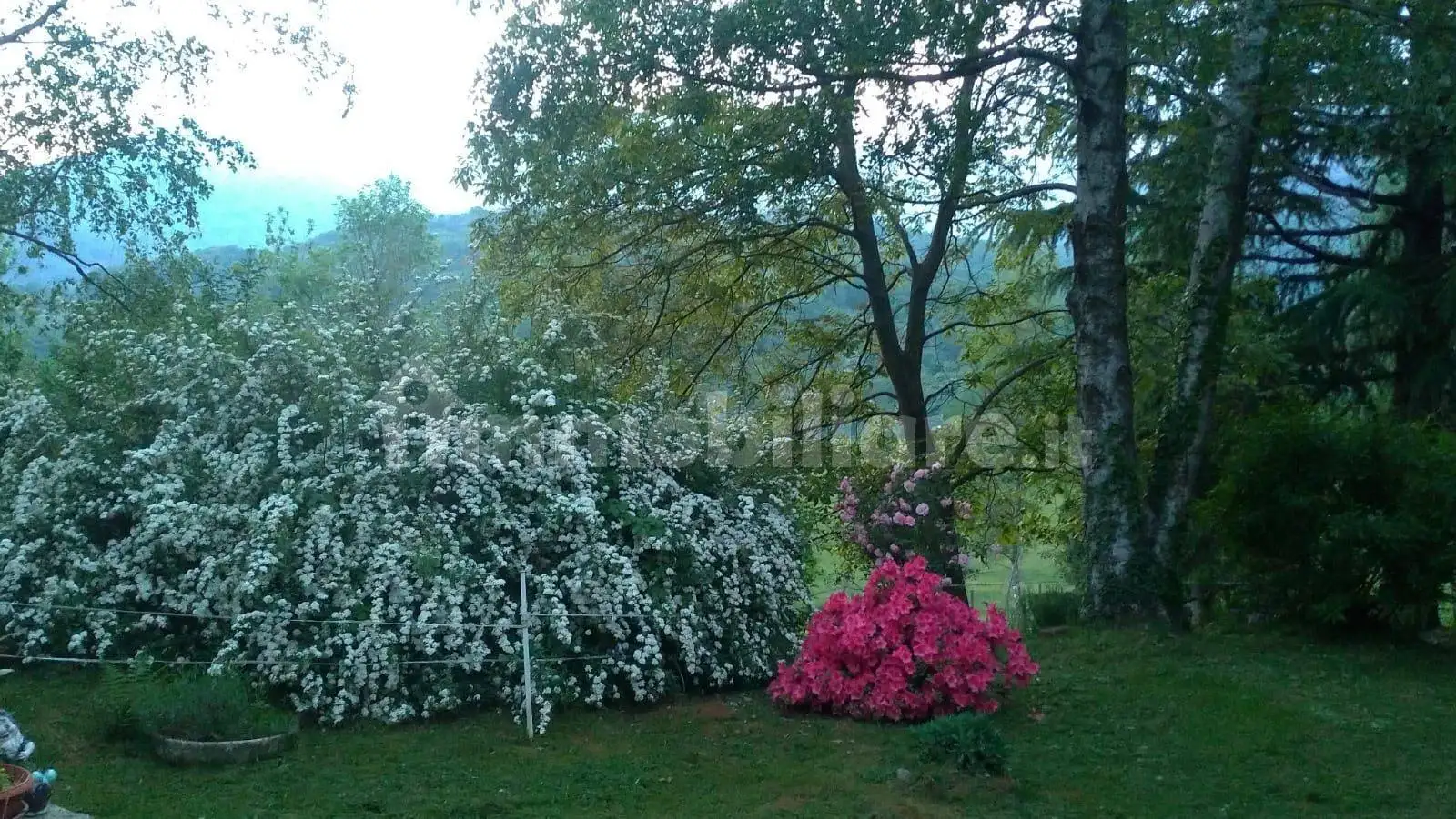 Rustico - Casale in vendita a Rueglio