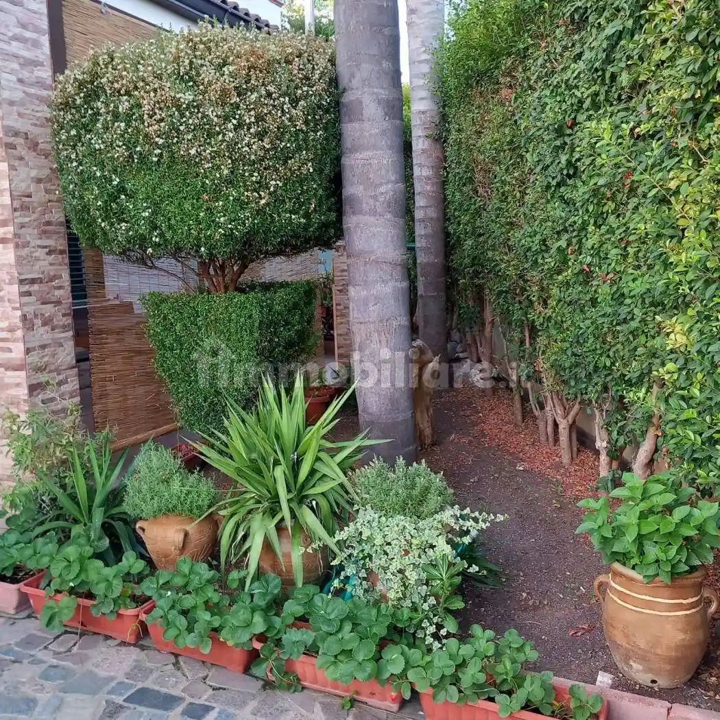 Villa a schiera via Filanda 9, Centro, Briatico - foto 4