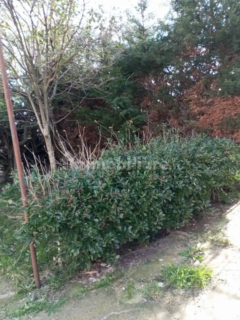 Terratetto unifamiliare Sp331, Castello del Matese - foto 3