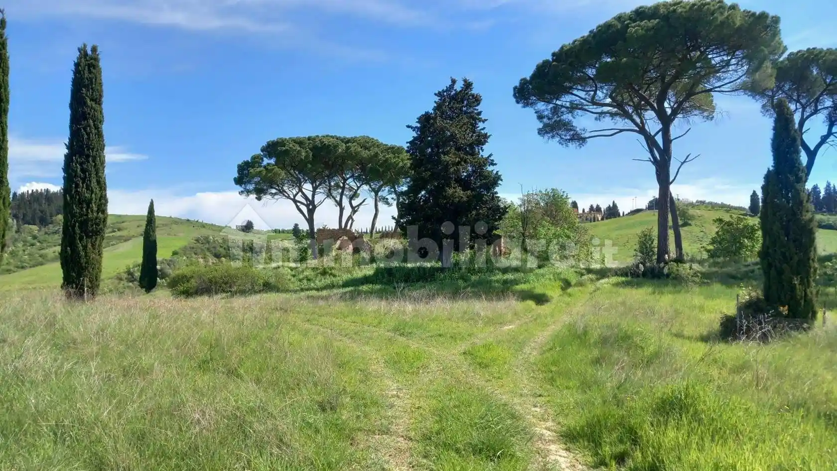 Rustico - Casale in vendita a Castelfiorentino