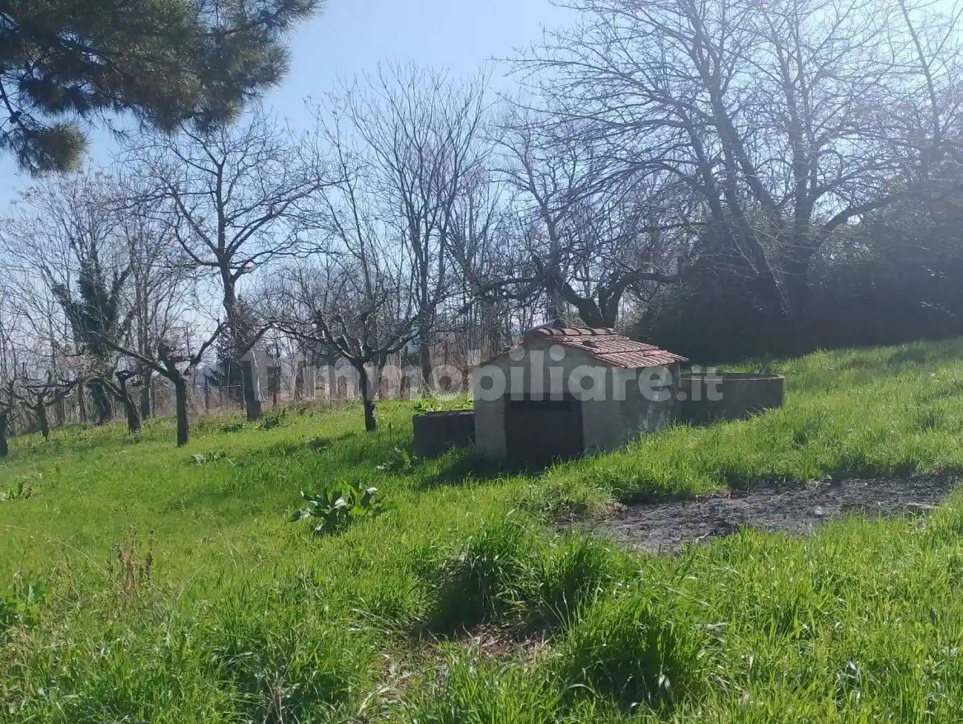 Villa unifamiliare Contrada Fiego 13, Montemiletto - foto 4