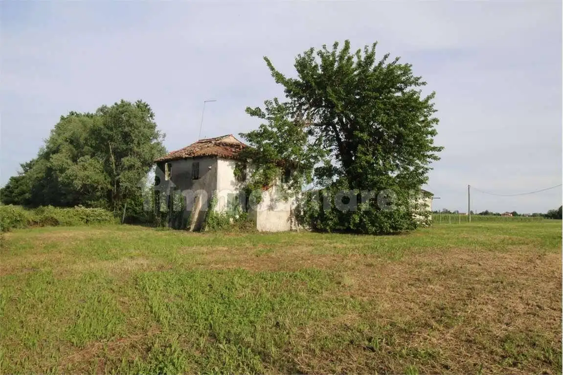 Rustico - Casale in vendita a Salgareda