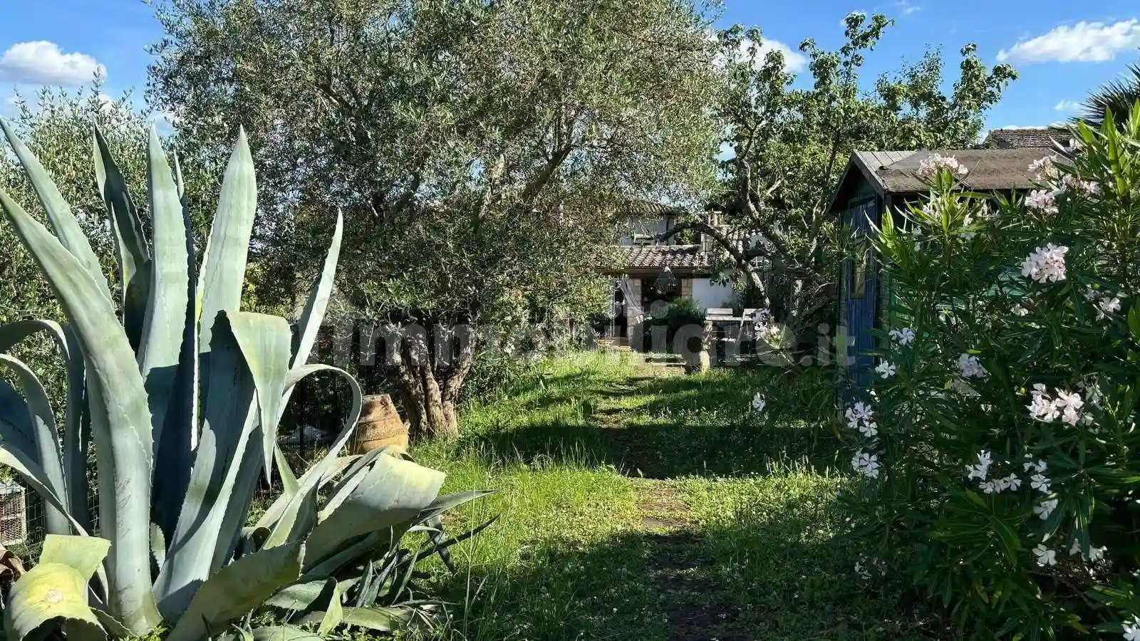 Casa indipendente - foto 4