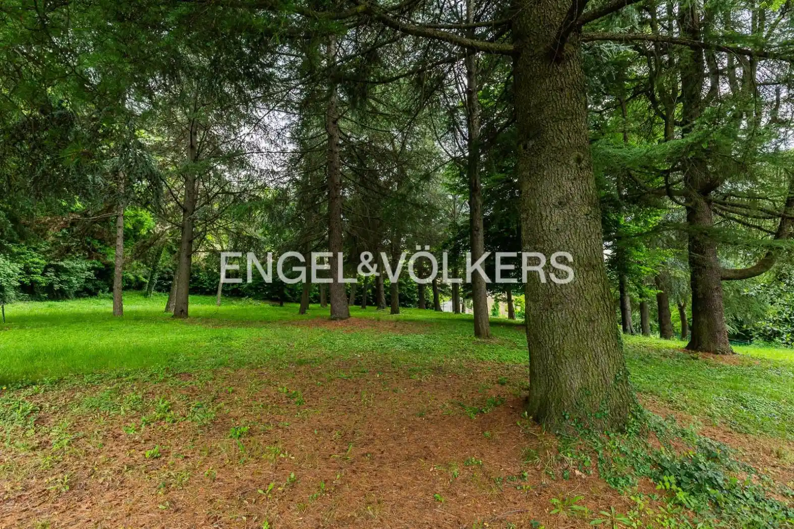 Villa unifamiliare via Cimaleda 1110, Savigno, Valsamoggia - foto 5