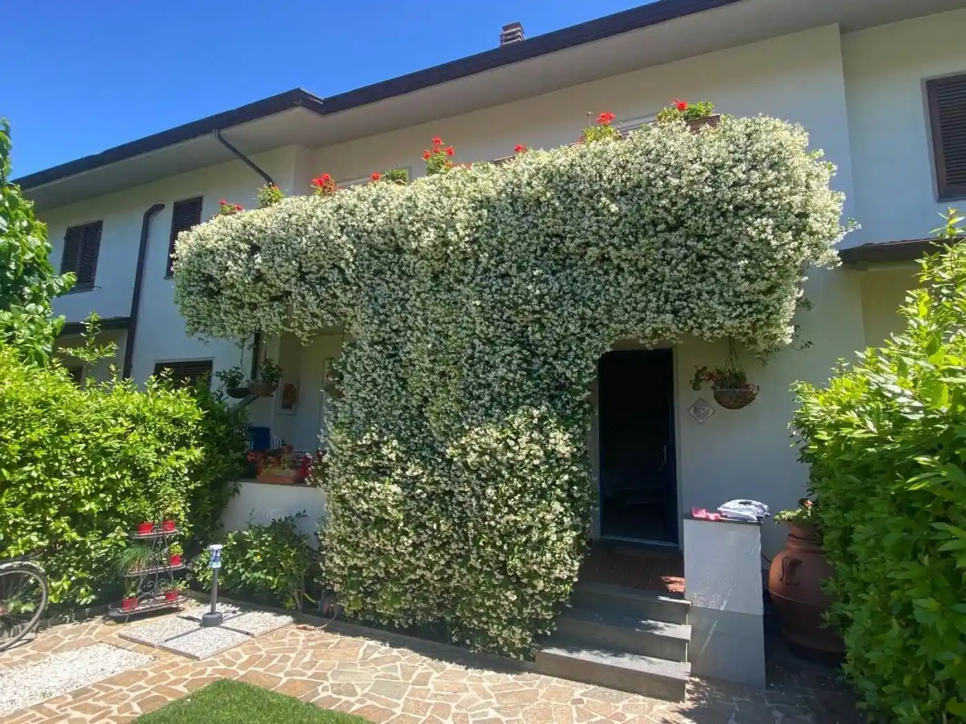 Villa in affitto a Pietrasanta