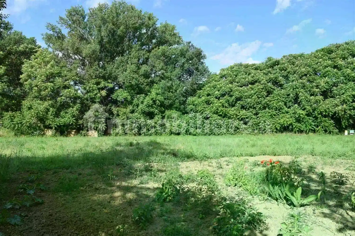 Rustico - Casale in vendita a Montepulciano