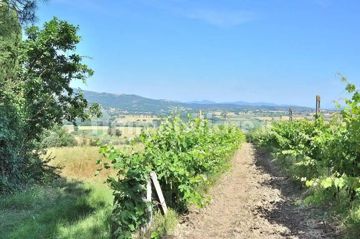 Rustico - Casale in vendita a Marsciano