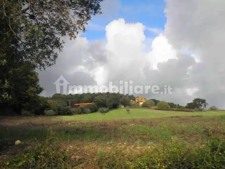 Rustico - Casale in vendita a Riparbella