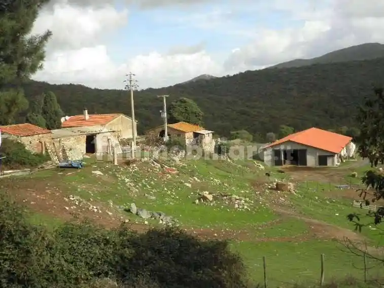 Rustico - Casale in vendita a Riparbella