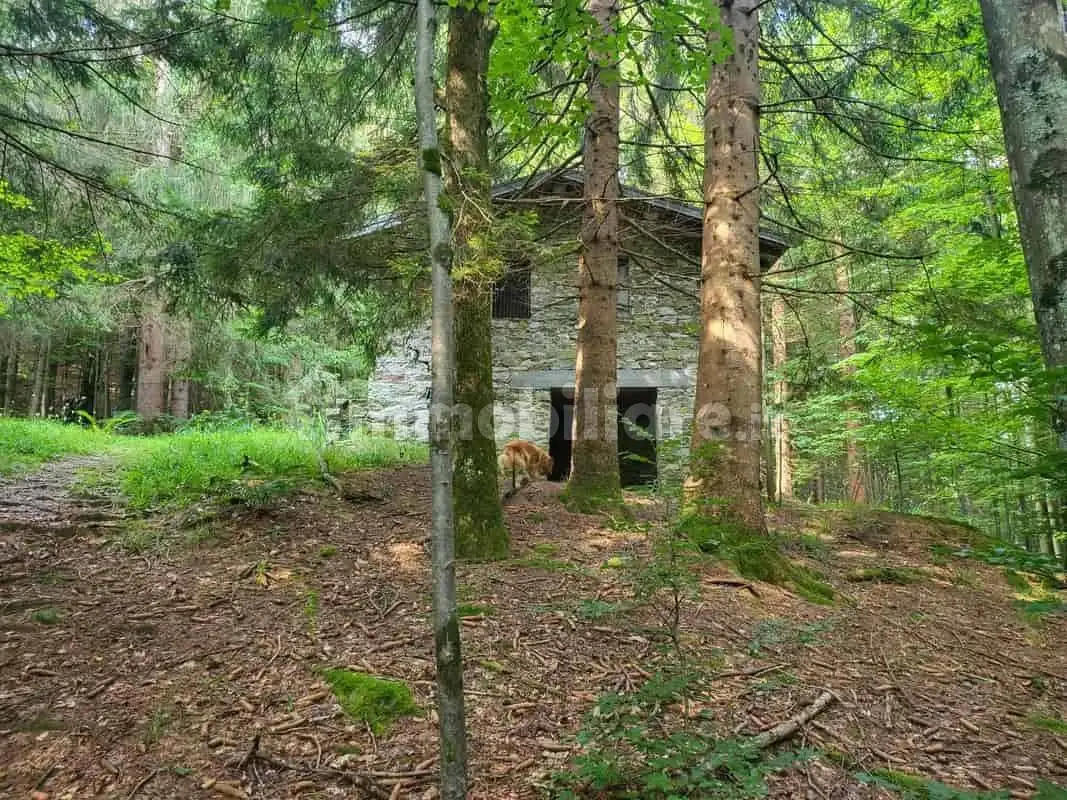 Rustico - Casale in vendita a Scopello