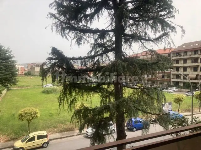 Appartamento in vendita a San Nicola la Strada