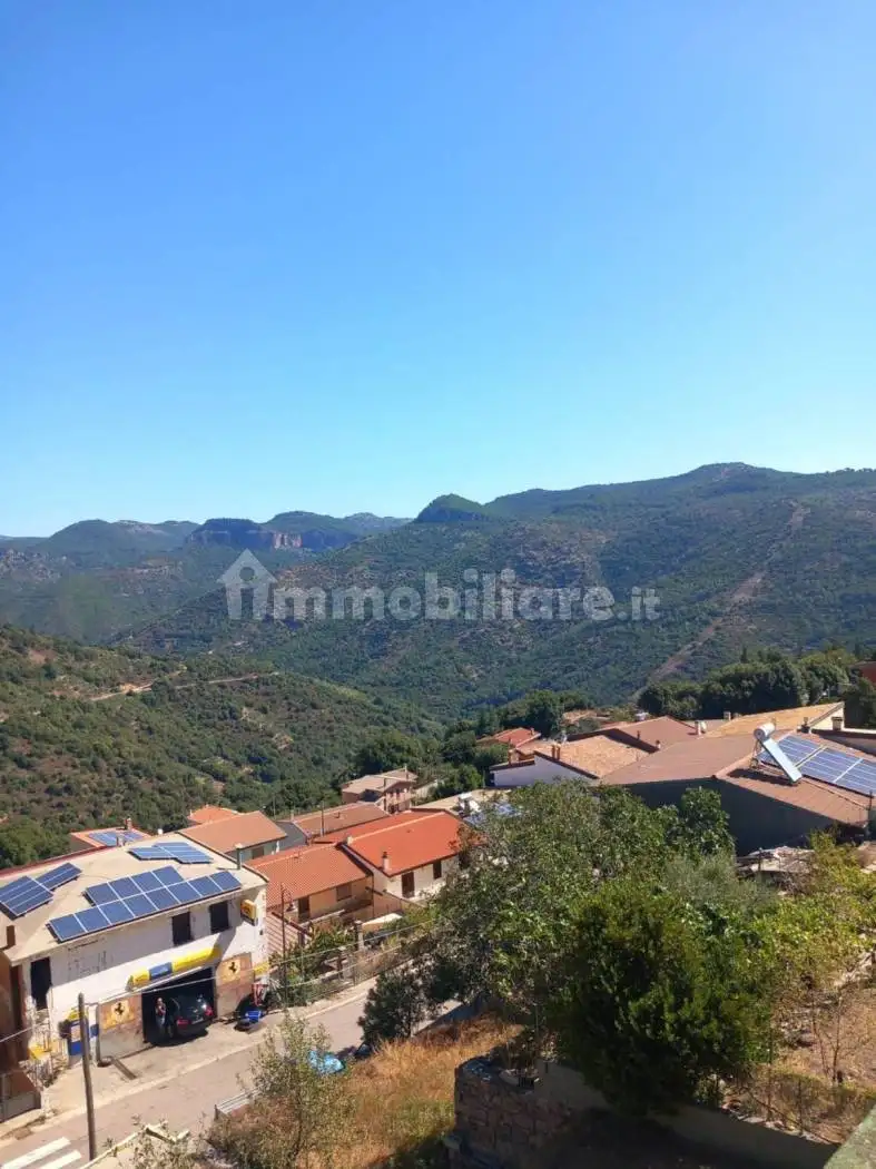 Villa in vendita a Ussassai