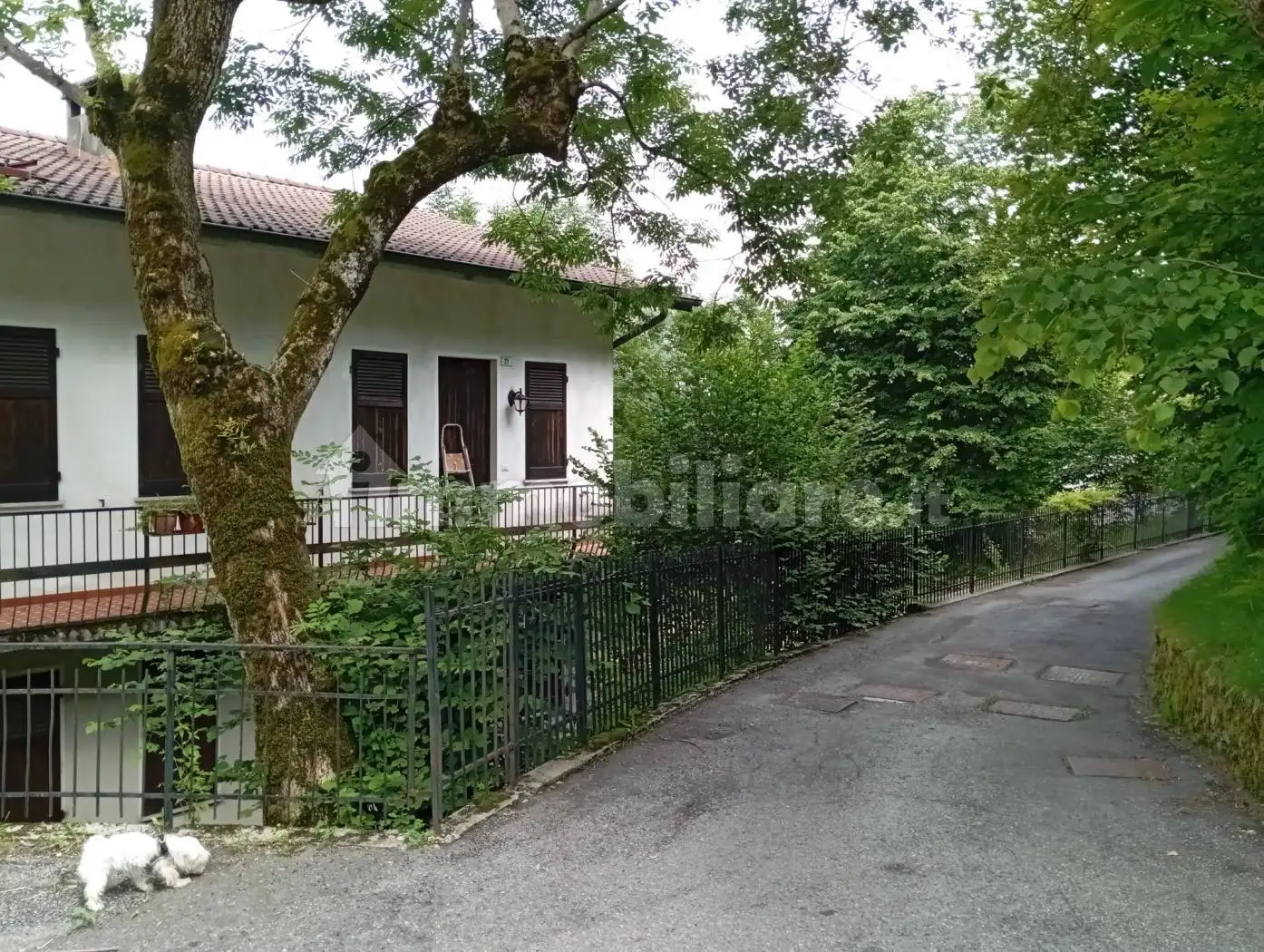 Palazzo - Edificio in Vendita - foto 3