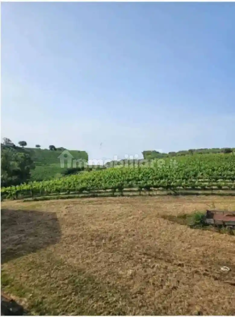 Casale via Sorripe, Città Sant'Angelo - foto 2