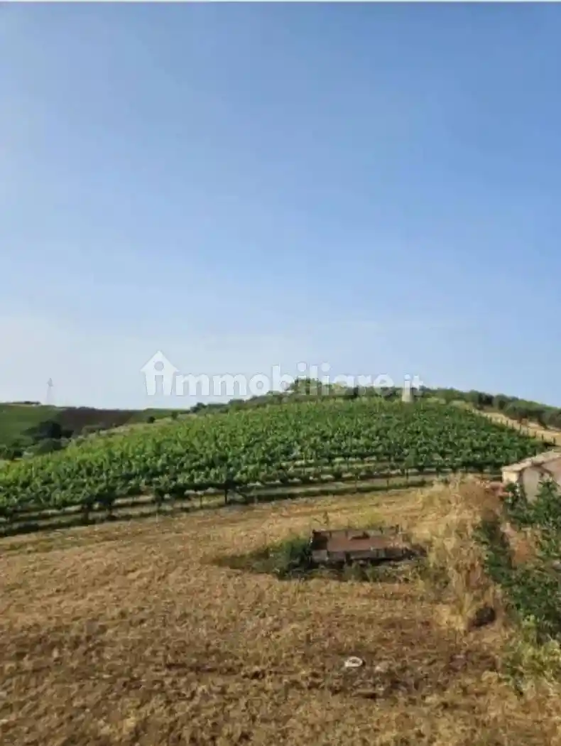 Casale via Sorripe, Città Sant'Angelo - foto 3