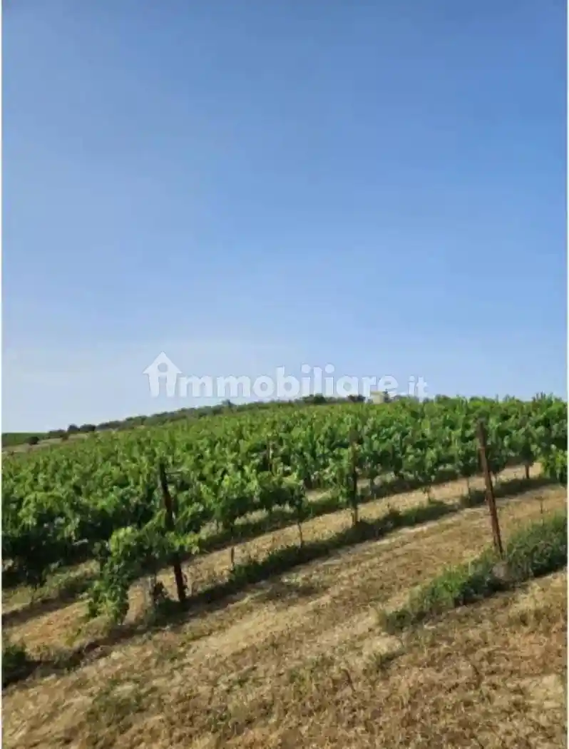 Casale via Sorripe, Città Sant'Angelo - foto 4