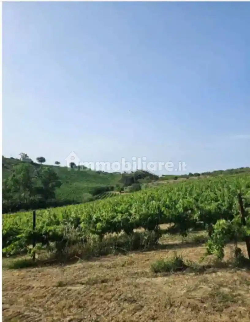 Casale via Sorripe, Città Sant'Angelo - foto 5