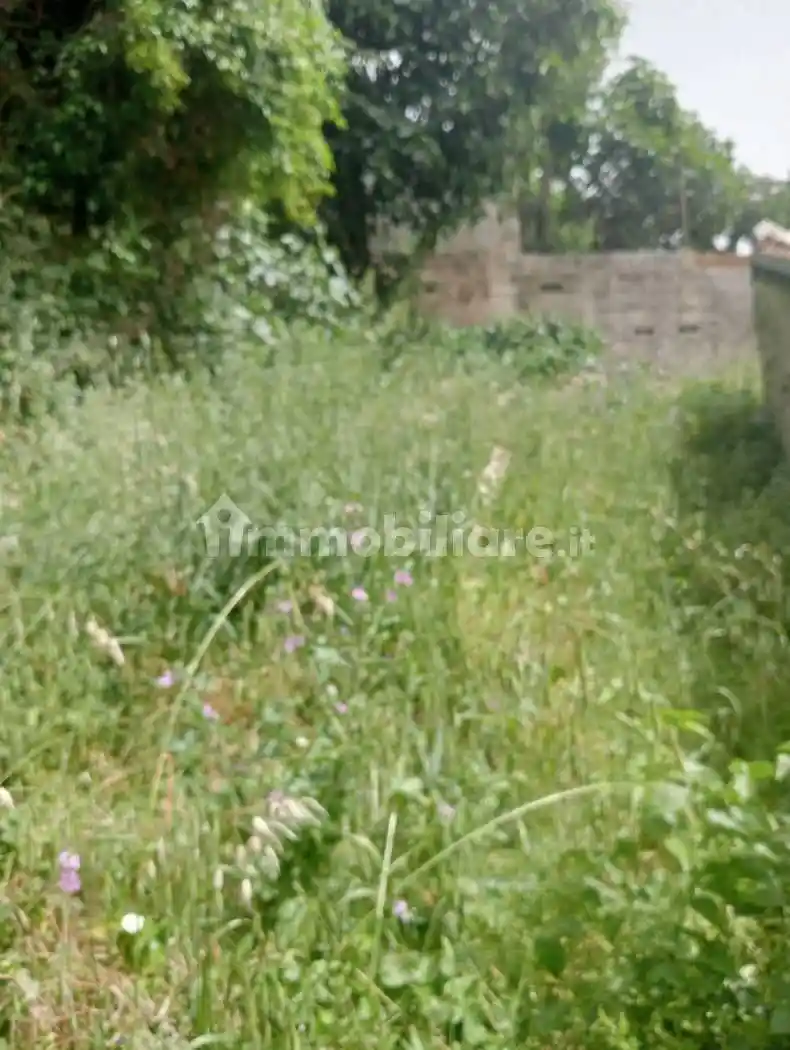 Palazzo - Edificio - foto 5