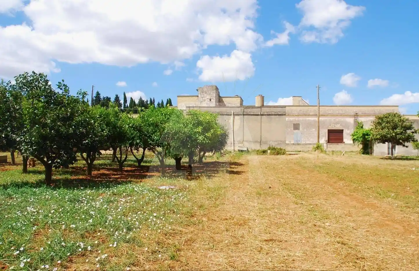 Rustico - Casale in vendita a Specchia