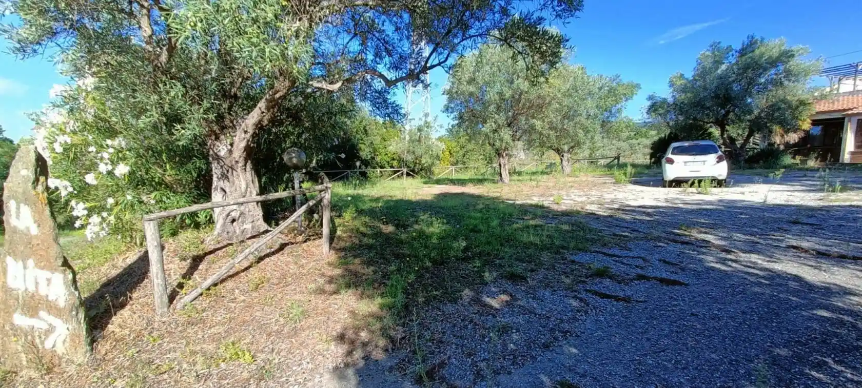 Palazzo - Edificio - foto 5