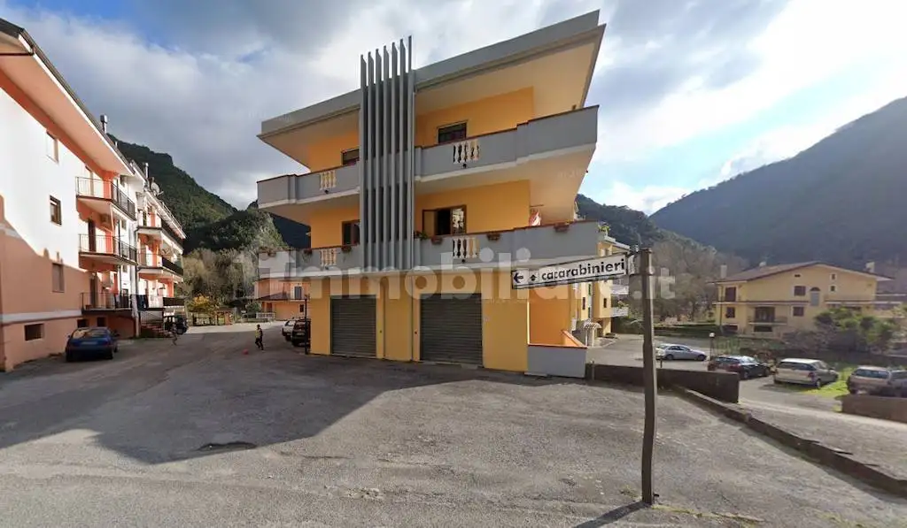 Appartamento in vendita a Orsomarso