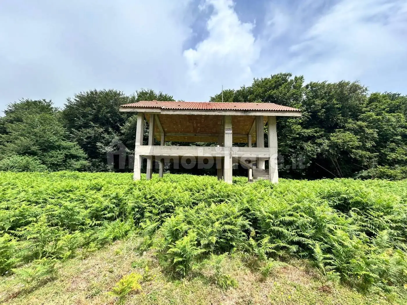 Rustico - Casale in vendita a Ciminà