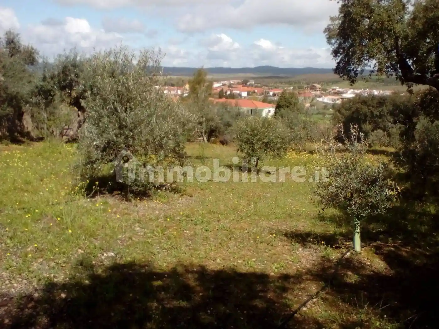 Rustico - Casale in affitto a Villa Latina