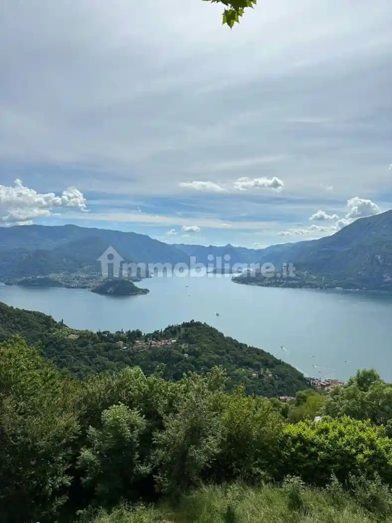 Appartamento in affitto a Perledo
