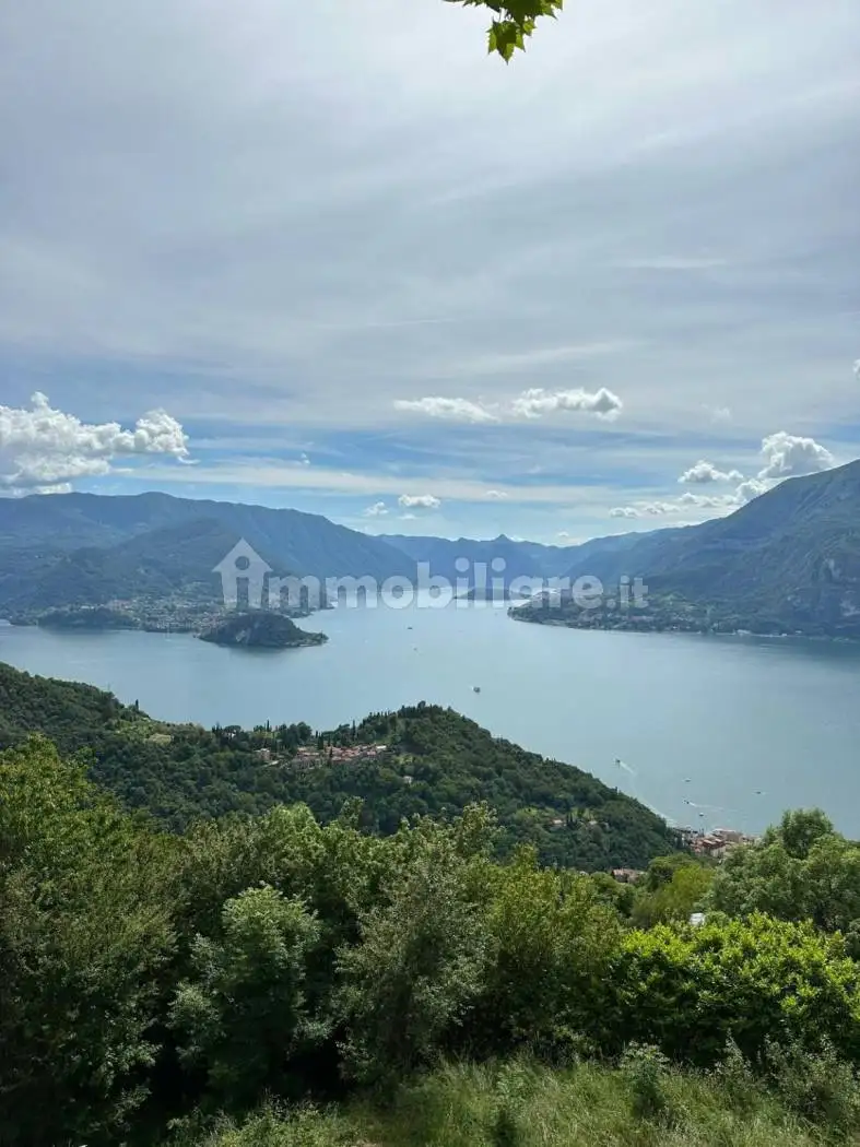 Appartamento in affitto a Perledo