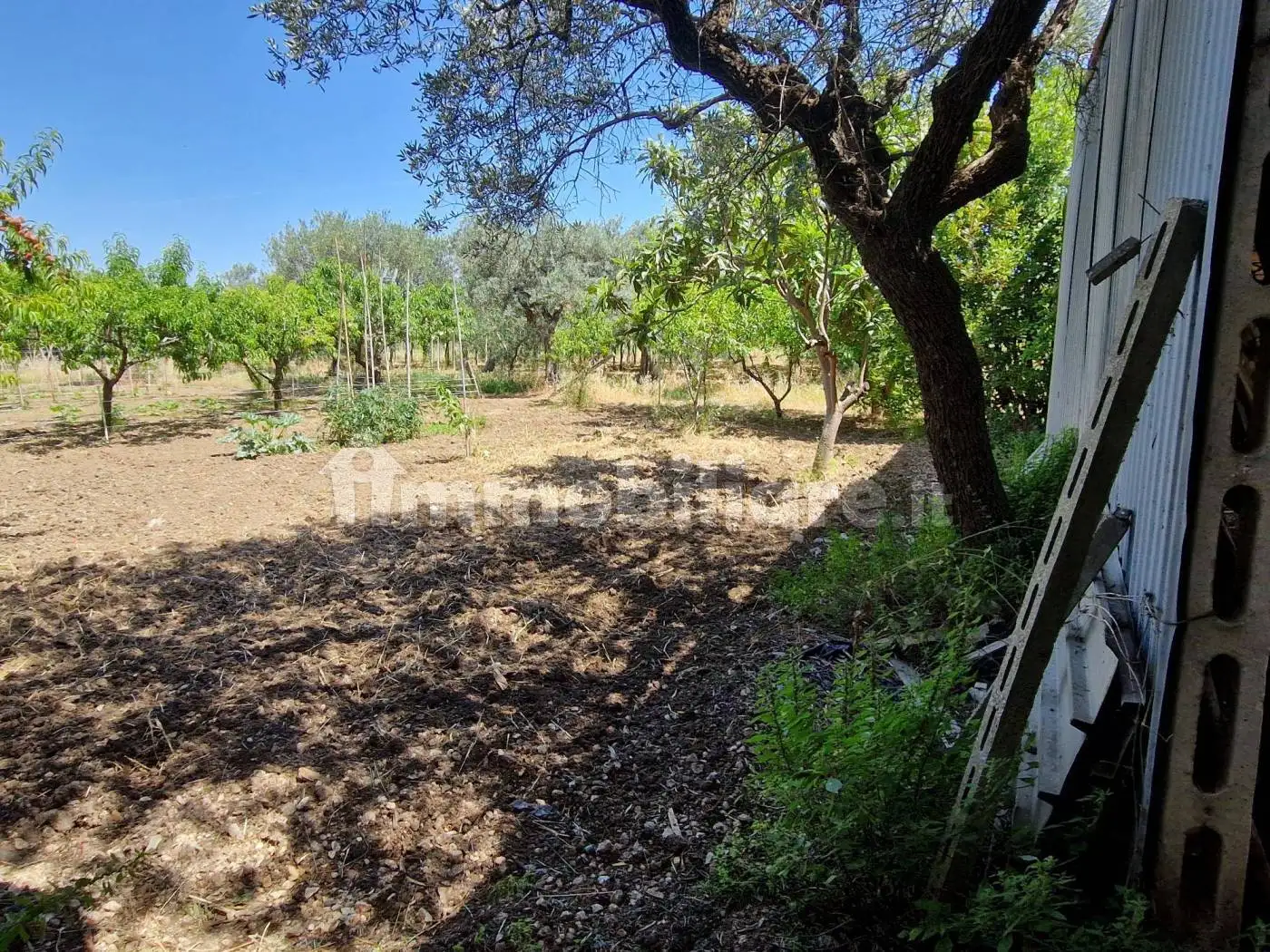 Villa unifamiliare via degli Eroi 36, Centro, Canosa Sannita - foto 4