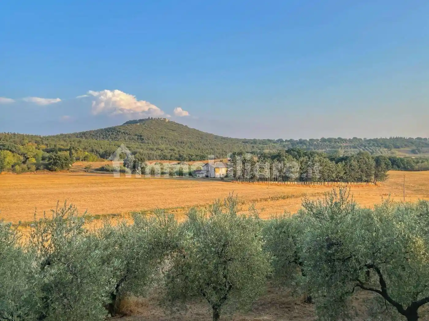 Rustico - Casale in vendita a Lugnano in Teverina