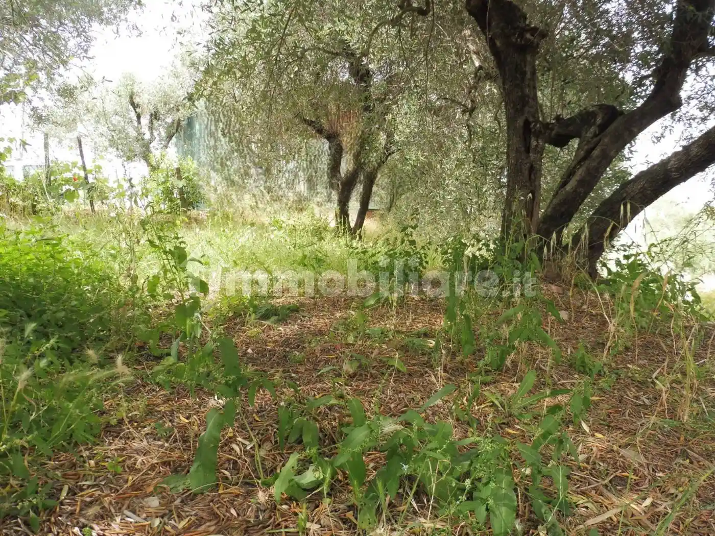 Casa indipendente in vendita a Empoli