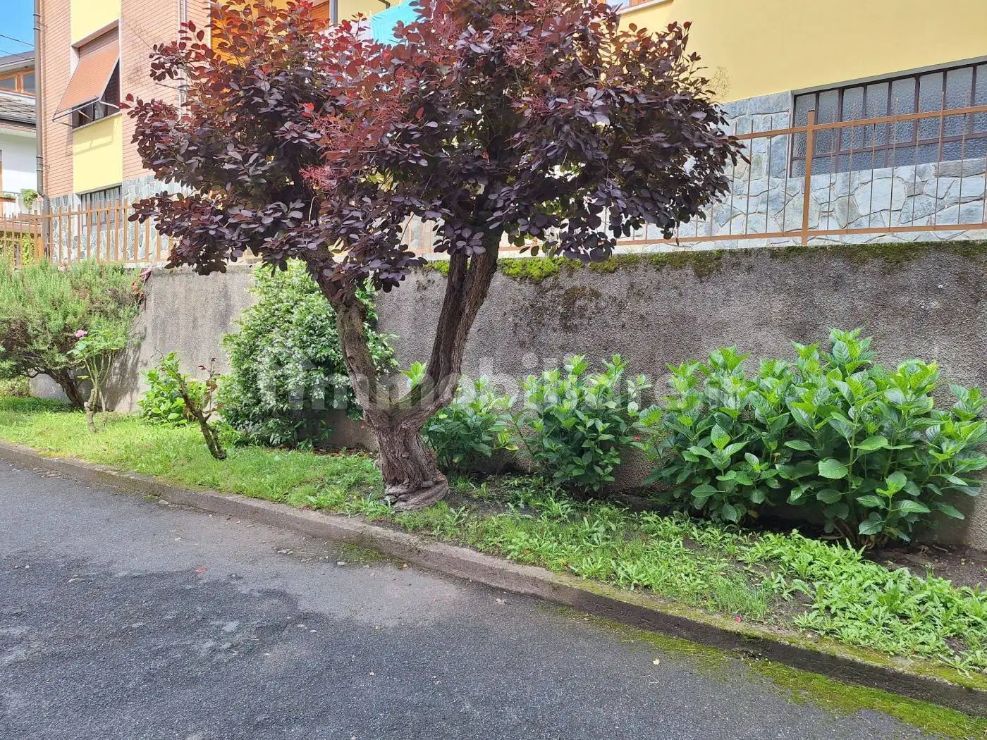 Appartamento in vendita a Sparone