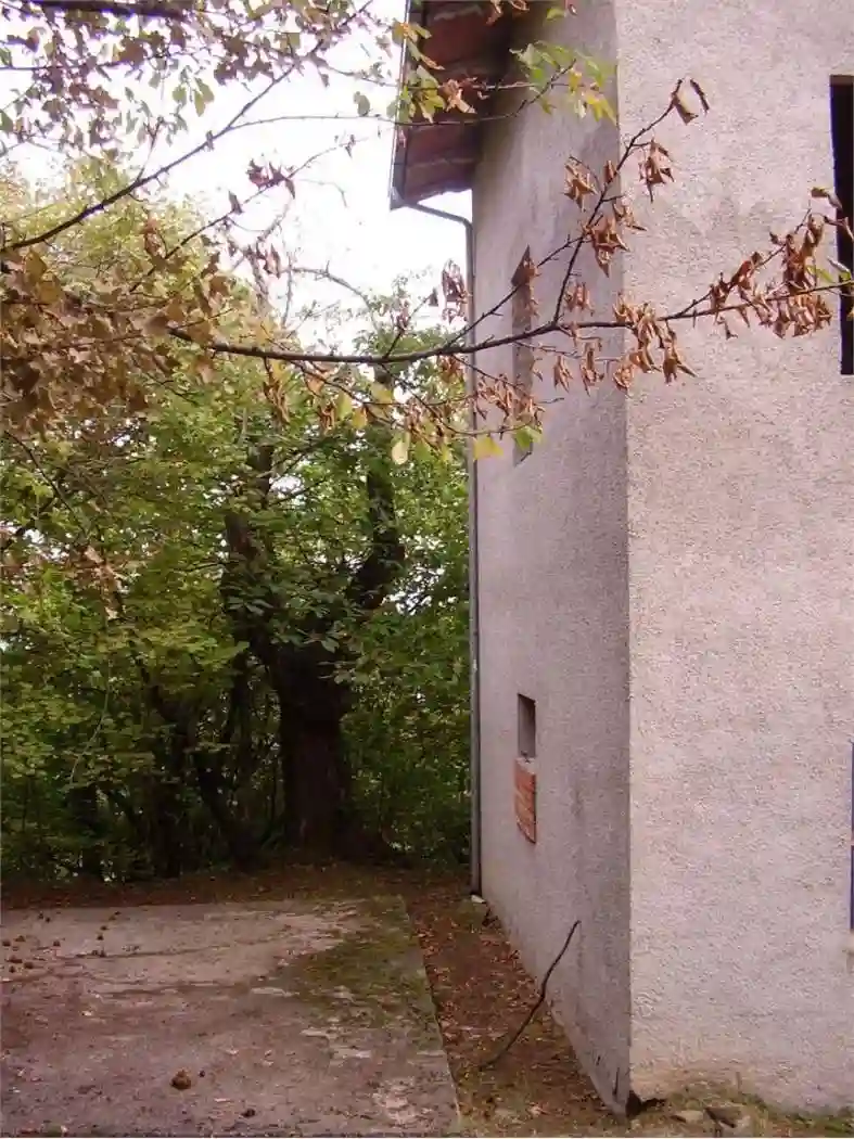 Palazzo - Edificio - foto 2