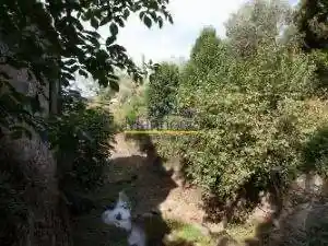 Rustico - Casale in vendita a Calci