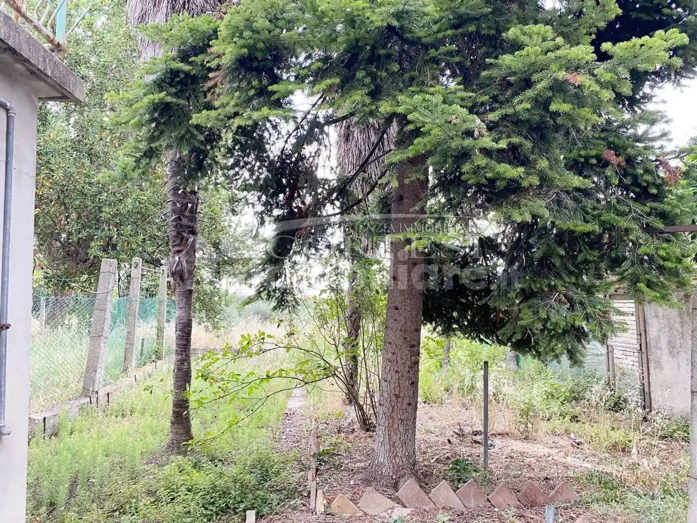 Casa indipendente in vendita a Mondolfo