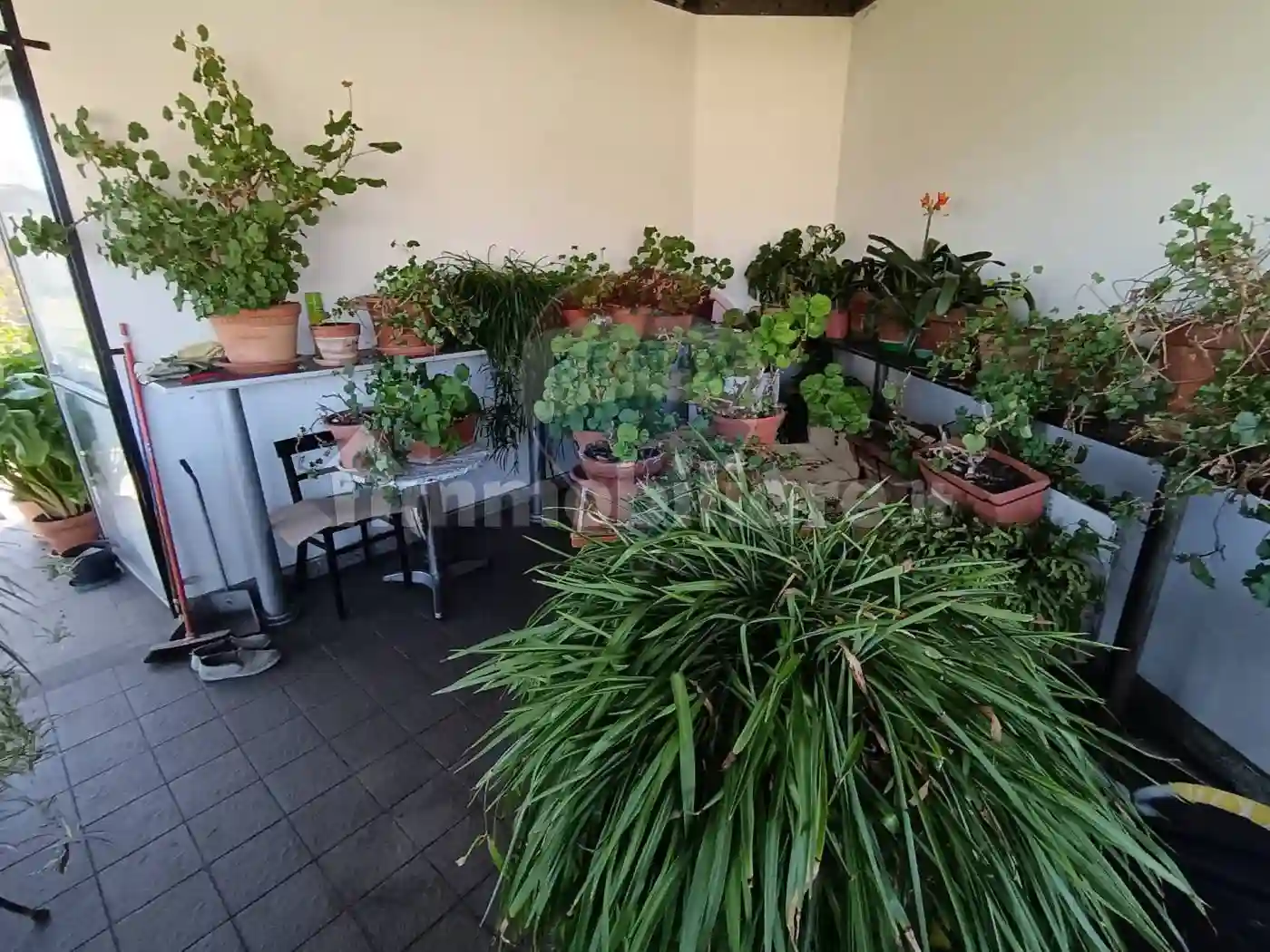 Palazzo - Edificio - foto 4