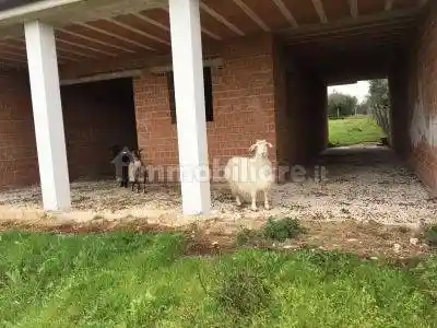 Villa unifamiliare Strada Provinciale Pelusi, Ortona - foto 3