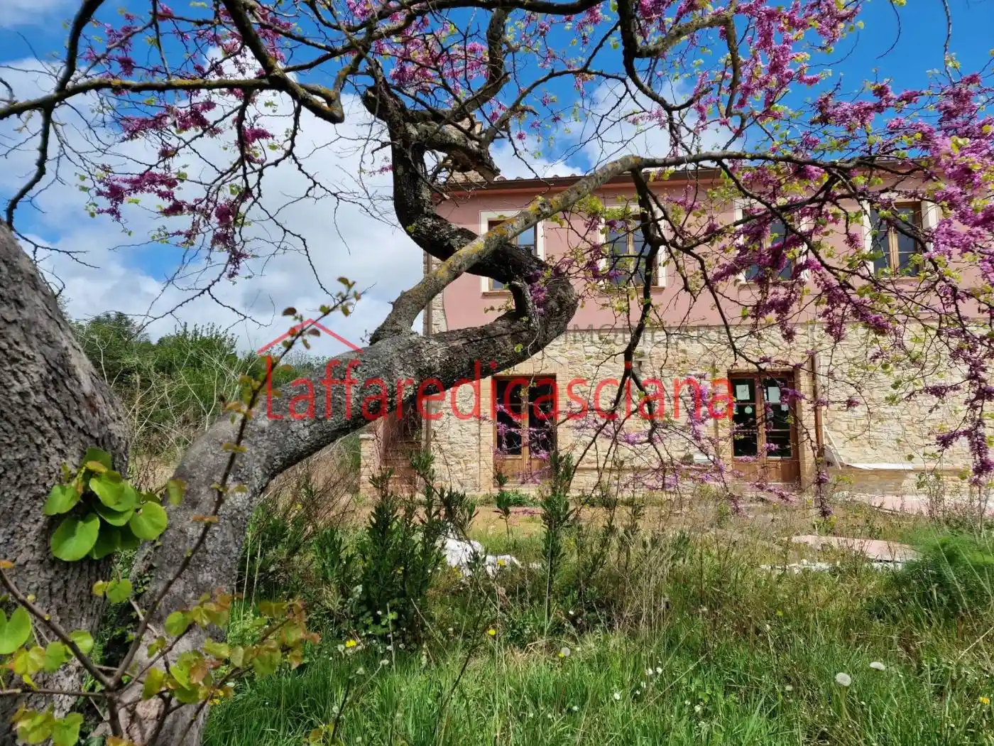 Casale Strada Provinciale di Collemontanino, Parlascio, Casciana Terme Lari - foto 4