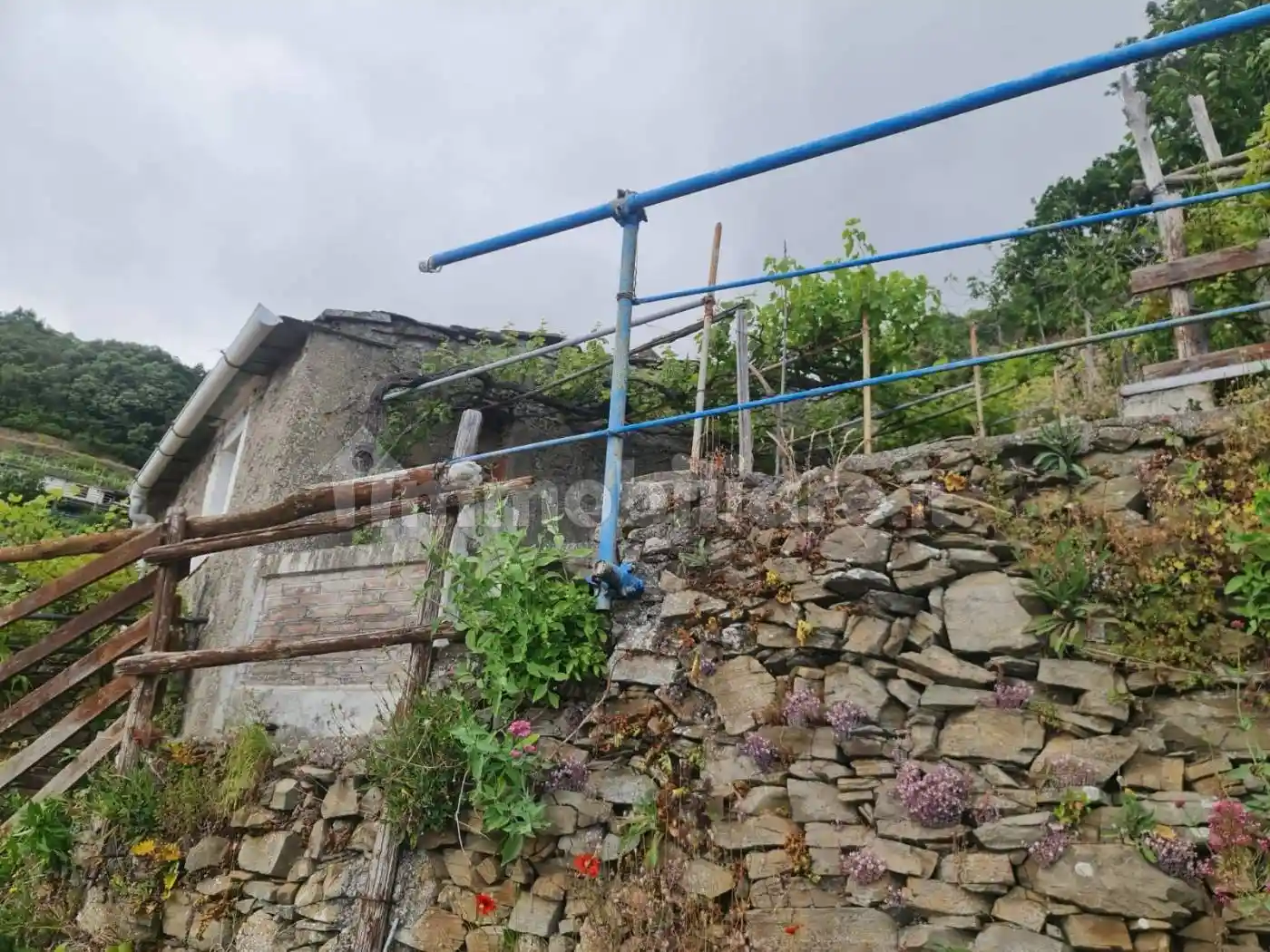 Rustico Casotti, Biassa, La Spezia - foto 3