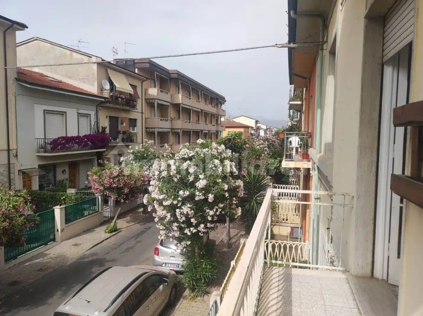 Appartamento in affitto a Viareggio