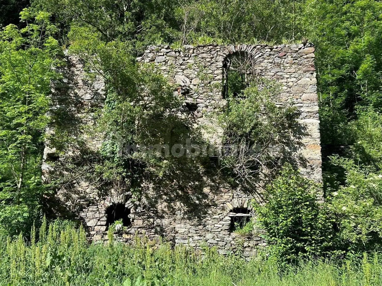 Rustico - Casale in vendita a Peio