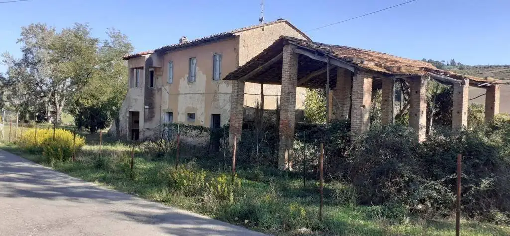 Rustico - Casale in vendita a San Miniato